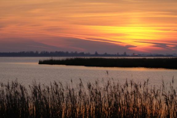 Enjoy Meer Und See Ferienhaus -In Lauwersoog- 1-6 Pers- 3 Schlafzimmer- Fruehes Einchecken Ab 14 Uhr Zewnętrze zdjęcie